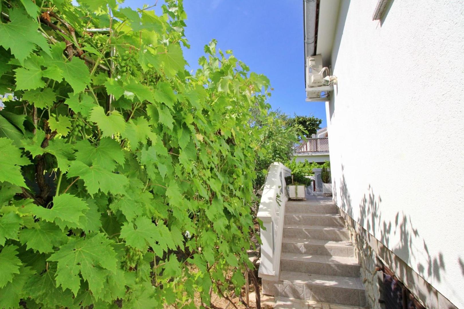 Apartments Zlatica シロ エクステリア 写真